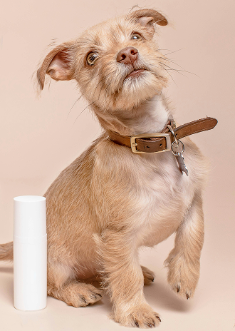 Transparent background