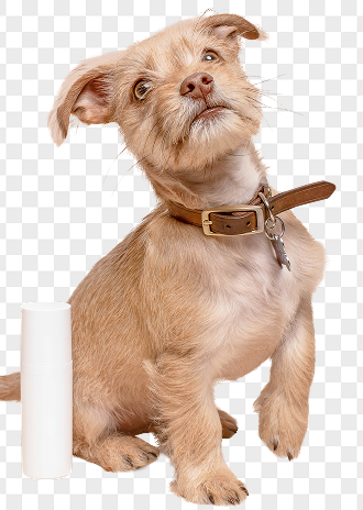 Change image background