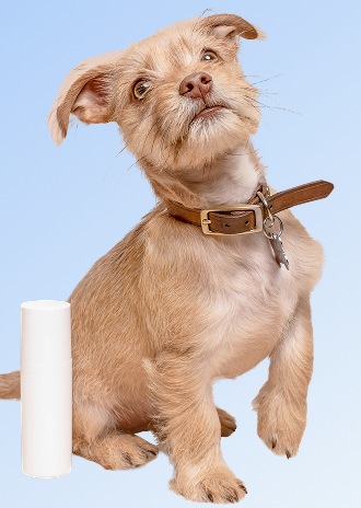 AI background changer