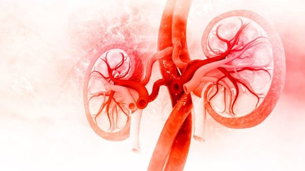 【照护线上】口服生血药物问世 帮助改善肾性贫血