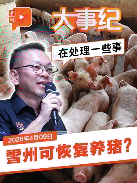 百格大事纪｜雪州可恢复养猪？陈泓缣仅透露一点