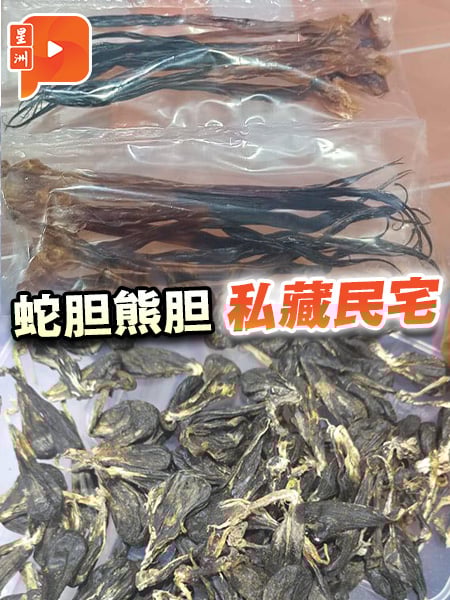 百格｜蛇胆熊胆等藏民宅 总值3684万