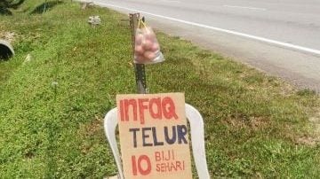 善心妇创意行善   铁杆柱“挂袋送蛋”任取