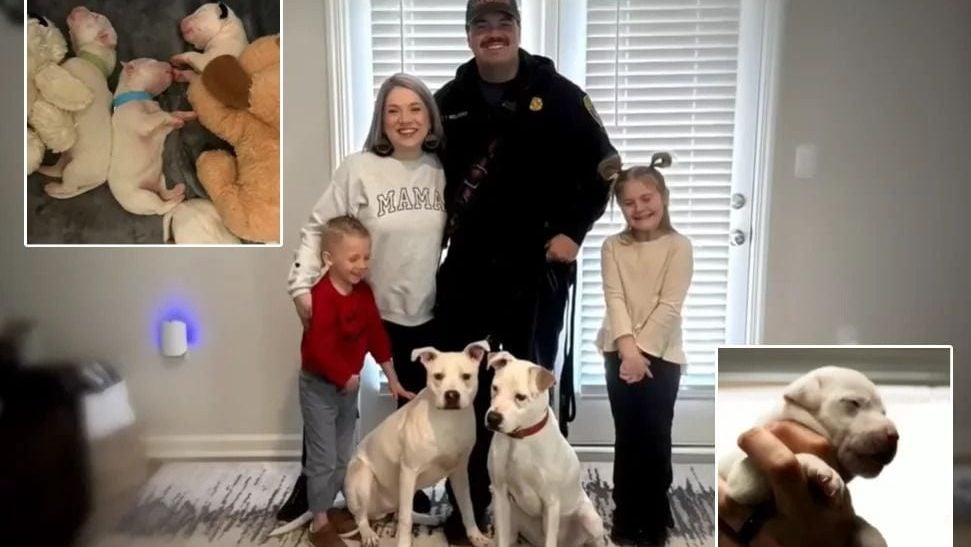 消防员暖心收养 火场“幼犬兄弟”喜重逢