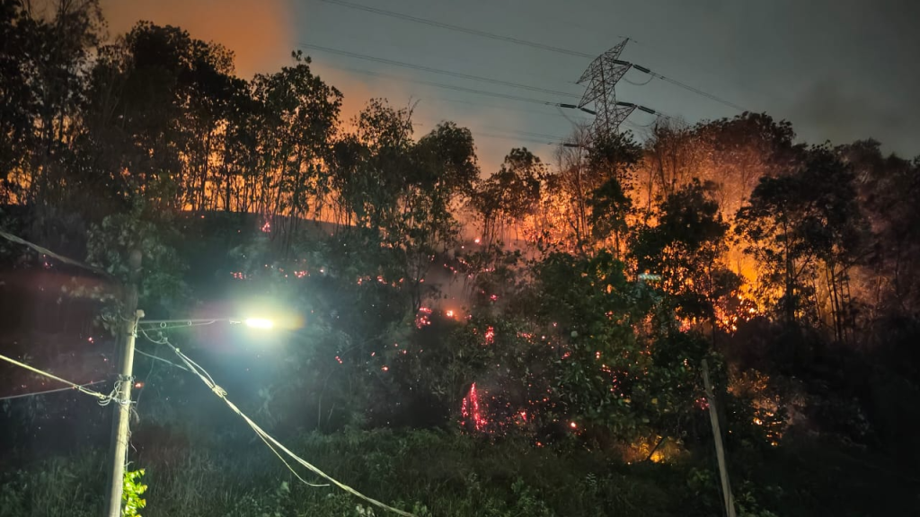 视频| 灵丛林晚上起火 出动18消拯员3消防车扑灭
