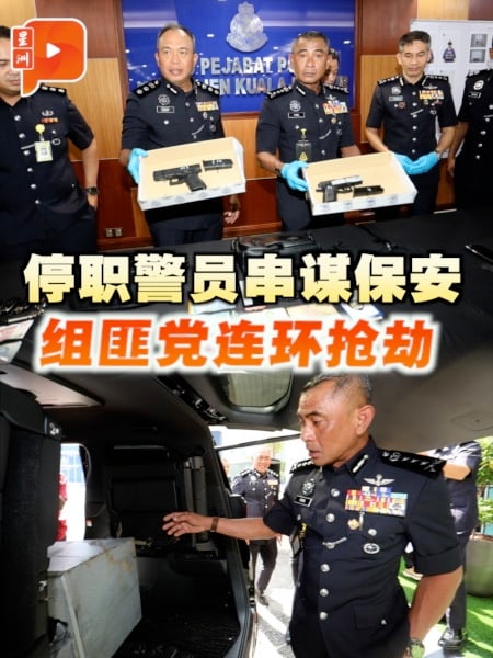 停职警员串谋保安组党抢劫 6人被逮捕