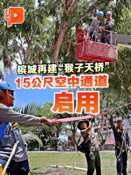 槟城建第三座树冠桥 再循环消防水管打造空中通道
