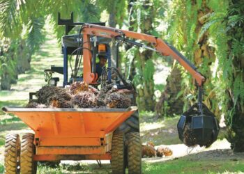 HARGA MSM dijangka berada di bawah RM4,400 setan bagi tahun ini.