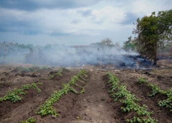 PENDUDUK di Telok Panglima Garang menerima kesan akibat pembakaran kebun dan tapak sampah haram yang berlaku secara terbuka di Kuala Langat, Selangor. - UTUSAN/SADDAM YUSOFF